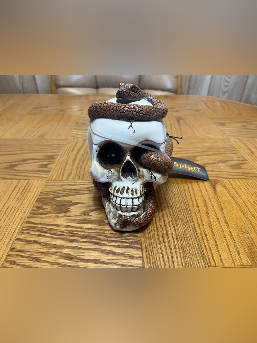 Spirit Halloween Snake Skull Box